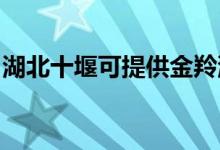 湖北十堰可提供金羚洗衣機維修服務(wù)地址在哪
