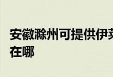 安徽滁州可提供伊萊克斯洗衣機維修服務地址在哪