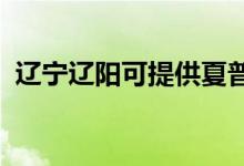 遼寧遼陽可提供夏普冰箱維修服務(wù)地址在哪