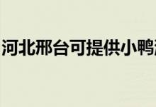 河北邢臺可提供小鴨洗衣機維修服務(wù)地址在哪