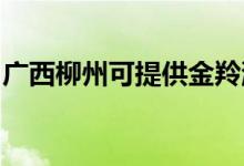 廣西柳州可提供金羚洗衣機維修服務(wù)地址在哪