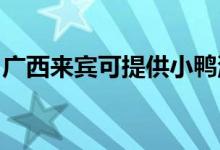 廣西來賓可提供小鴨洗衣機維修服務(wù)地址在哪