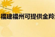 福建福州可提供金羚洗衣機維修服務(wù)地址在哪