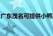 廣東茂名可提供小鴨洗衣機維修服務(wù)地址在哪