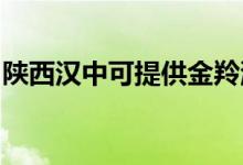 陜西漢中可提供金羚洗衣機維修服務(wù)地址在哪