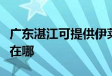 廣東湛江可提供伊萊克斯洗衣機維修服務地址在哪