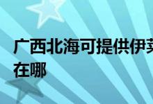 廣西北?？商峁┮寥R克斯洗衣機(jī)維修服務(wù)地址在哪