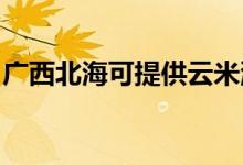廣西北?？商峁┰泼紫赐霗C(jī)維修服務(wù)地址在哪