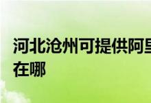 河北滄州可提供阿里斯頓壁掛爐維修服務地址在哪