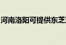 河南洛陽可提供東芝洗碗機(jī)維修服務(wù)地址在哪