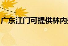 廣東江門可提供林內壁掛爐維修服務地址在哪