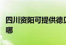 四川資陽(yáng)可提供德貝得壁掛爐維修服務(wù)地址在哪