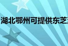 湖北鄂州可提供東芝洗碗機(jī)維修服務(wù)地址在哪