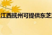 江西撫州可提供東芝洗碗機(jī)維修服務(wù)地址在哪
