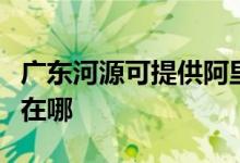 廣東河源可提供阿里斯頓壁掛爐維修服務地址在哪