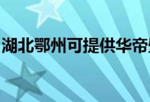 湖北鄂州可提供華帝壁掛爐維修服務(wù)地址在哪