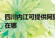 四川內江可提供阿里斯頓壁掛爐維修服務地址在哪