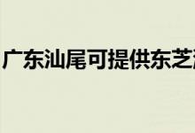 廣東汕尾可提供東芝洗碗機(jī)維修服務(wù)地址在哪