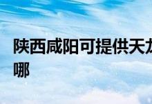 陜西咸陽(yáng)可提供天龍家庭影院維修服務(wù)地址在哪