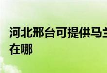 河北邢臺(tái)可提供馬蘭士家庭影院維修服務(wù)地址在哪