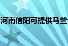 河南信陽可提供馬蘭士音響維修服務(wù)地址在哪