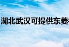 湖北武漢可提供東菱微波爐維修服務地址在哪