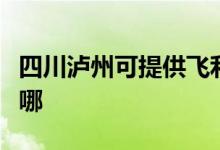 四川瀘州可提供飛利浦微波爐維修服務地址在哪