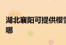 湖北襄陽(yáng)可提供櫻雪抽油煙機(jī)維修服務(wù)地址在哪