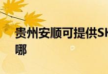 貴州安順可提供SKG微波爐維修服務地址在哪