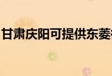 甘肅慶陽可提供東菱微波爐維修服務地址在哪