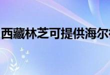 西藏林芝可提供海爾微波爐維修服務地址在哪
