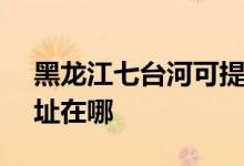黑龍江七臺河可提供SKG微波爐維修服務地址在哪