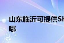 山東臨沂可提供SKG微波爐維修服務地址在哪