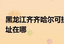 黑龍江齊齊哈爾可提供東菱微波爐維修服務地址在哪