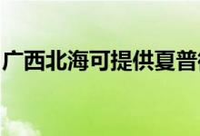 廣西北?？商峁┫钠瘴⒉t維修服務(wù)地址在哪