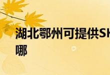 湖北鄂州可提供SKG微波爐維修服務地址在哪