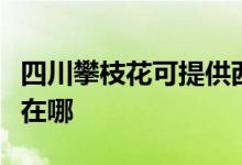 四川攀枝花可提供西門子微波爐維修服務地址在哪