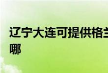 遼寧大連可提供格蘭仕微波爐維修服務地址在哪