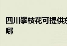 四川攀枝花可提供東菱微波爐維修服務地址在哪