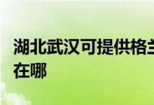 湖北武漢可提供格蘭仕抽油煙機(jī)維修服務(wù)地址在哪