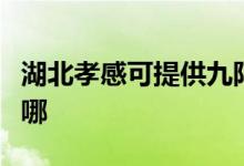 湖北孝感可提供九陽抽油煙機維修服務(wù)地址在哪