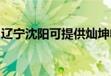 遼寧沈陽可提供燦坤電磁爐維修服務地址在哪