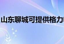 山東聊城可提供格力電飯煲維修服務地址在哪