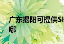 廣東揭陽(yáng)可提供SKG消毒柜維修服務(wù)地址在哪
