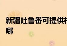 新疆吐魯番可提供格力電飯煲維修服務地址在哪