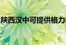陜西漢中可提供格力電飯煲維修服務地址在哪