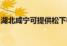 湖北咸寧可提供松下電飯煲維修服務(wù)地址在哪