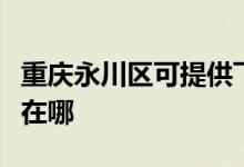 重慶永川區(qū)可提供飛利浦電飯煲維修服務(wù)地址在哪