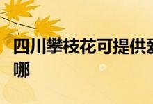 四川攀枝花可提供愛(ài)德電飯煲維修服務(wù)地址在哪
