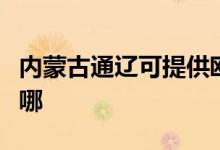 內(nèi)蒙古通遼可提供歐科電餅鐺維修服務地址在哪